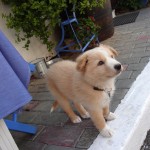 DSC07150
